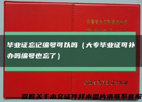 畢業證忘記編號可以嗎（大專畢業證可補辦嗎編號也忘了）縮略圖
