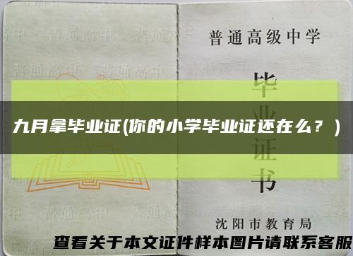 九月拿畢業證(你的小學畢業證還在么？）縮略圖