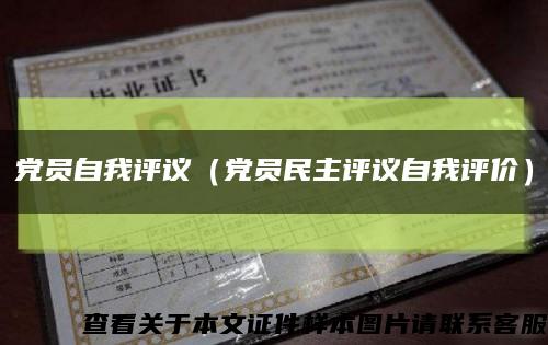 黨員自我評議（黨員民主評議自我評價）縮略圖