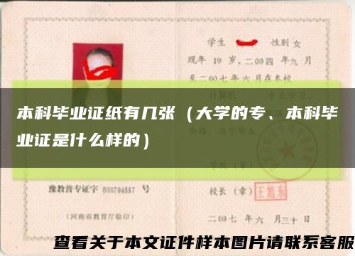 本科畢業證紙有幾張（大學的專、本科畢業證是什么樣的）縮略圖
