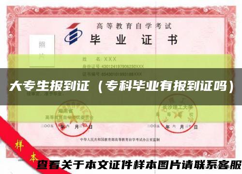 大專生報到證（?？飘厴I有報到證嗎）縮略圖