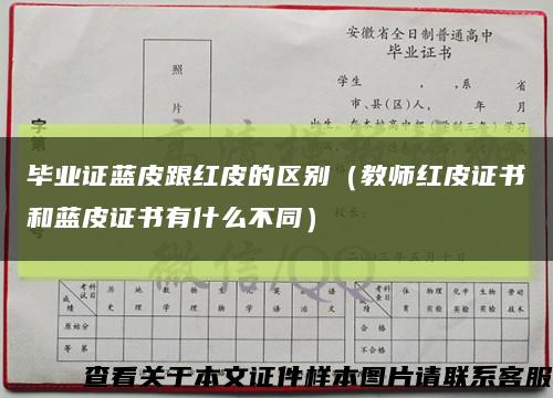 畢業證藍皮跟紅皮的區別（教師紅皮證書和藍皮證書有什么不同）縮略圖