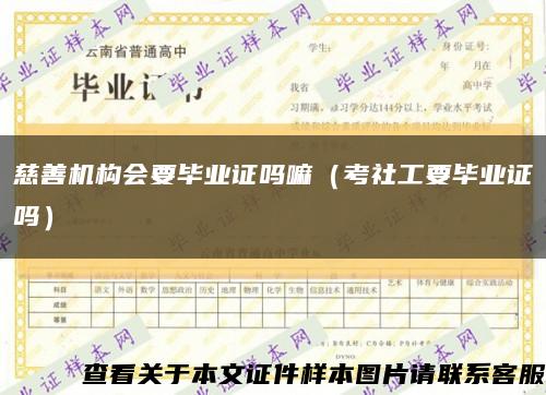 慈善機構會要畢業證嗎嘛（考社工要畢業證嗎）縮略圖