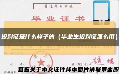 報到證是什么樣子的（畢業生報到證怎么用）縮略圖