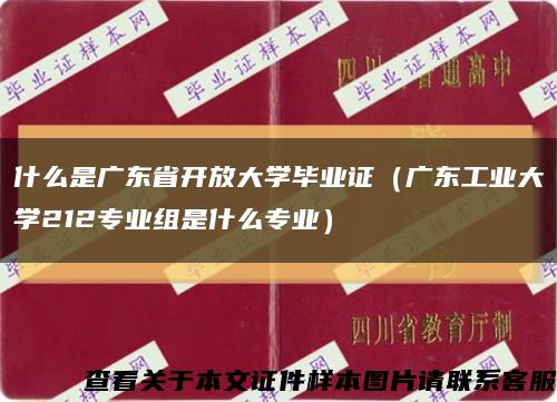 什么是廣東省開放大學畢業證（廣東工業大學212專業組是什么專業）縮略圖