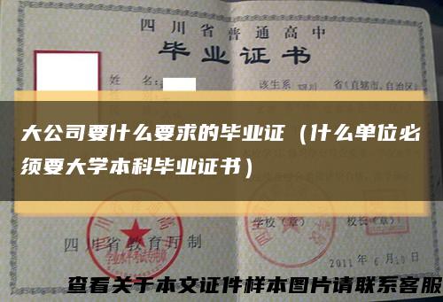 大公司要什么要求的畢業證（什么單位必須要大學本科畢業證書）縮略圖