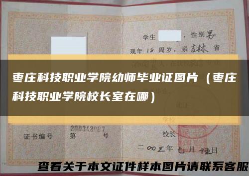 棗莊科技職業學院幼師畢業證圖片（棗莊科技職業學院校長室在哪）縮略圖