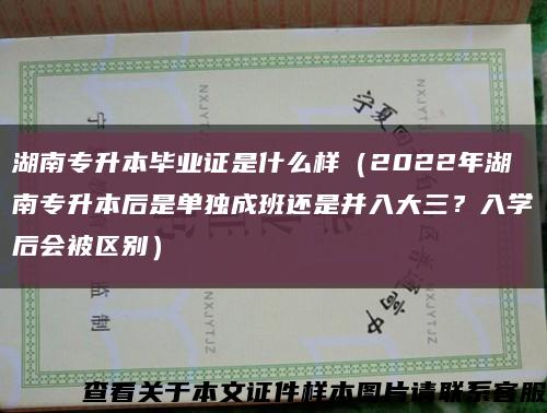 湖南專升本畢業證是什么樣（2022年湖南專升本后是單獨成班還是并入大三？入學后會被區別）縮略圖