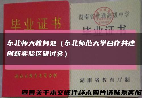 東北師大教務處（東北師范大學合作共建創新實驗區研討會）縮略圖