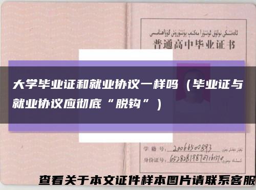 大學畢業證和就業協議一樣嗎（畢業證與就業協議應徹底“脫鉤”）縮略圖