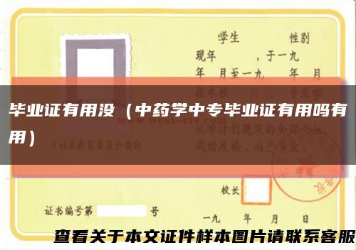 畢業證有用沒（中藥學中專畢業證有用嗎有用）縮略圖