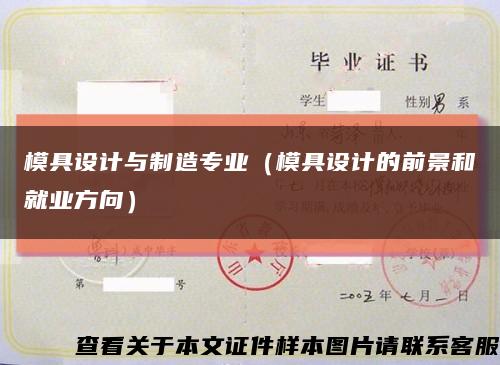 模具設計與制造專業（模具設計的前景和就業方向）縮略圖