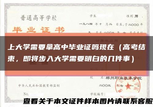 上大學需要拿高中畢業證嗎現在（高考結束，即將步入大學需要明白的幾件事）縮略圖