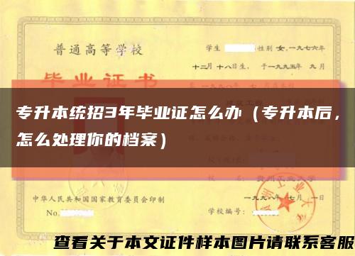 專升本統招3年畢業證怎么辦（專升本后，怎么處理你的檔案）縮略圖