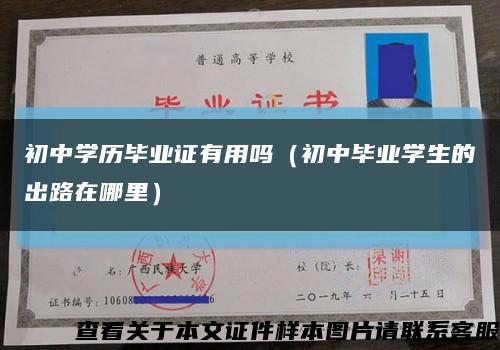初中學歷畢業證有用嗎（初中畢業學生的出路在哪里）縮略圖