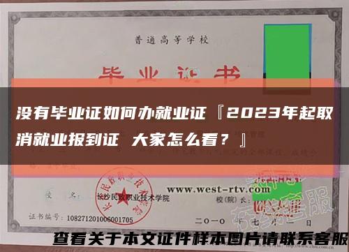 沒有畢業證如何辦就業證『2023年起取消就業報到證 大家怎么看？』縮略圖