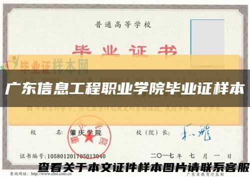 廣東信息工程職業學院畢業證樣本縮略圖