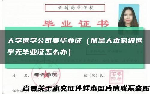大學退學公司要畢業證（加拿大本科被退學無畢業證怎么辦）縮略圖