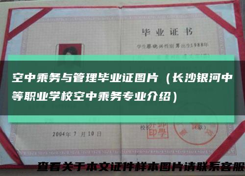 空中乘務與管理畢業證圖片（長沙銀河中等職業學?？罩谐藙諏I介紹）縮略圖