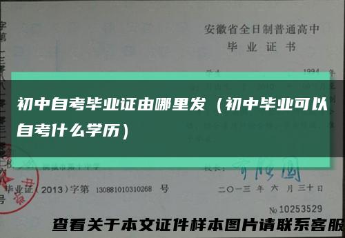 初中自考畢業證由哪里發（初中畢業可以自考什么學歷）縮略圖