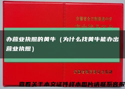 辦營業執照的黃牛（為什么找黃牛能辦出營業執照）縮略圖