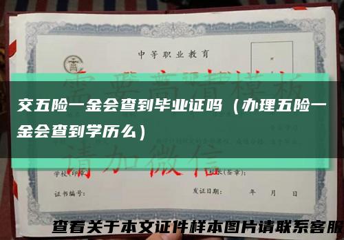 交五險一金會查到畢業證嗎（辦理五險一金會查到學歷么）縮略圖