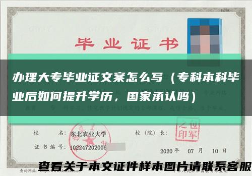 辦理大專畢業證文案怎么寫（?？票究飘厴I后如何提升學歷，國家承認嗎）縮略圖