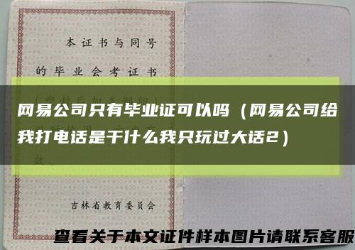 網易公司只有畢業證可以嗎（網易公司給我打電話是干什么我只玩過大話2）縮略圖