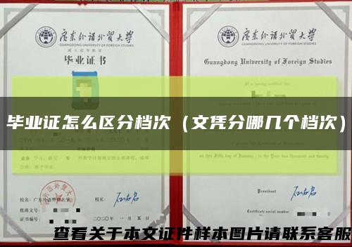 畢業證怎么區分檔次（文憑分哪幾個檔次）縮略圖