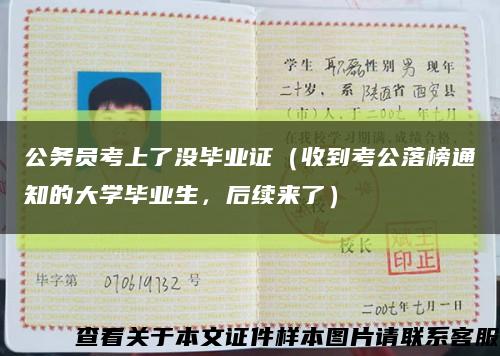 公務員考上了沒畢業證（收到考公落榜通知的大學畢業生，后續來了）縮略圖