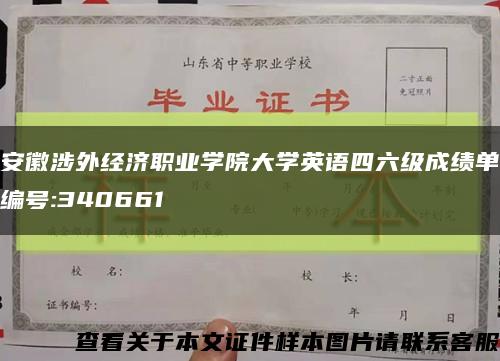 安徽涉外經濟職業學院大學英語四六級成績單編號:340661縮略圖