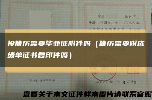 投簡歷需要畢業證附件嗎（簡歷需要附成績單證書復印件嗎）縮略圖