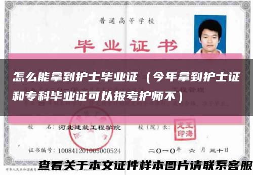 怎么能拿到護士畢業證（今年拿到護士證和?？飘厴I證可以報考護師不）縮略圖