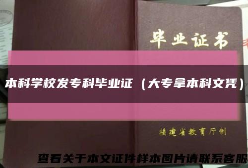 本科學校發?？飘厴I證（大專拿本科文憑）縮略圖