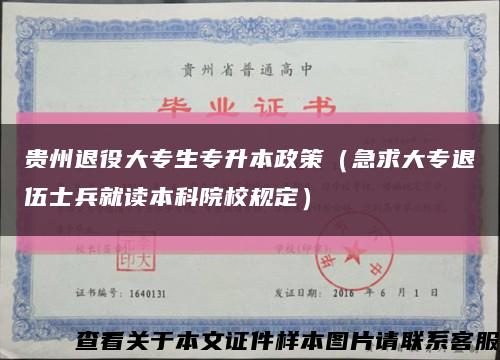 貴州退役大專生專升本政策（急求大專退伍士兵就讀本科院校規定）縮略圖