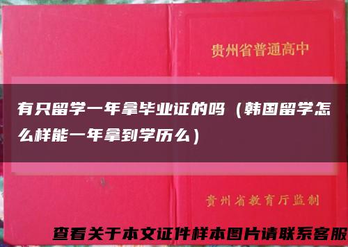 有只留學一年拿畢業證的嗎（韓國留學怎么樣能一年拿到學歷么）縮略圖
