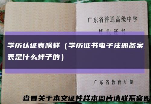 學歷認證表啥樣（學歷證書電子注冊備案表是什么樣子的）縮略圖