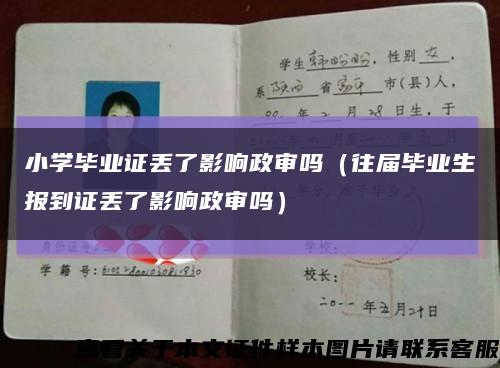 小學畢業證丟了影響政審嗎（往屆畢業生報到證丟了影響政審嗎）縮略圖