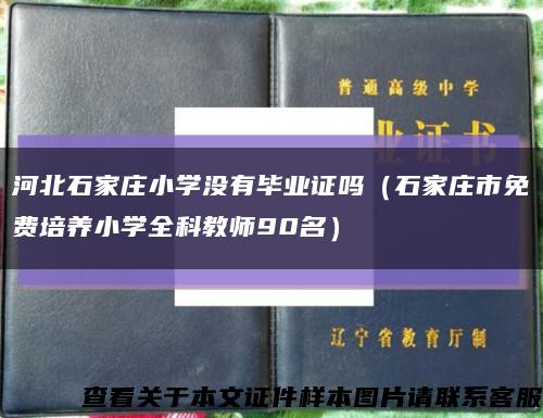 河北石家莊小學沒有畢業證嗎（石家莊市免費培養小學全科教師90名）縮略圖