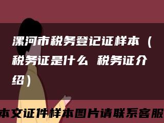 漯河市稅務登記證樣本（稅務證是什么 稅務證介紹）縮略圖