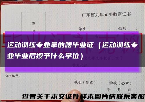 運動訓練專業拿的啥畢業證（運動訓練專業畢業后授予什么學位）縮略圖