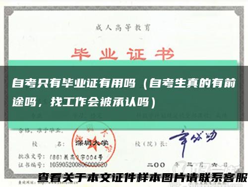 自考只有畢業證有用嗎（自考生真的有前途嗎，找工作會被承認嗎）縮略圖