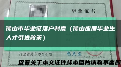 佛山市畢業證落戶制度（佛山應屆畢業生人才引進政策）縮略圖