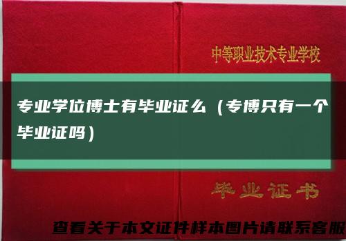 專業學位博士有畢業證么（專博只有一個畢業證嗎）縮略圖