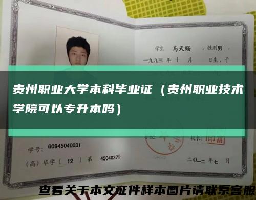貴州職業大學本科畢業證（貴州職業技術學院可以專升本嗎）縮略圖