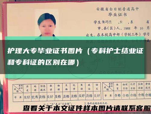 護理大專畢業證書圖片（?？谱o士結業證和?？谱C的區別在哪）縮略圖