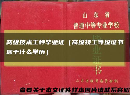高級技術工種畢業證（高級技工等級證書屬于什么學歷）縮略圖
