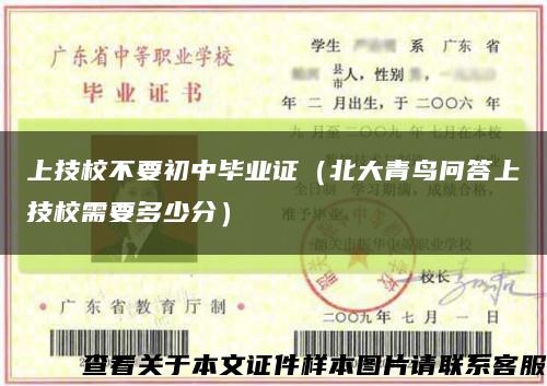 上技校不要初中畢業證（北大青鳥問答上技校需要多少分）縮略圖