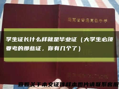 學生證長什么樣就是畢業證（大學生必須要考的那些證，你有幾個了）縮略圖