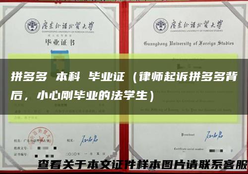 拼多多 本科 畢業證（律師起訴拼多多背后，小心剛畢業的法學生）縮略圖